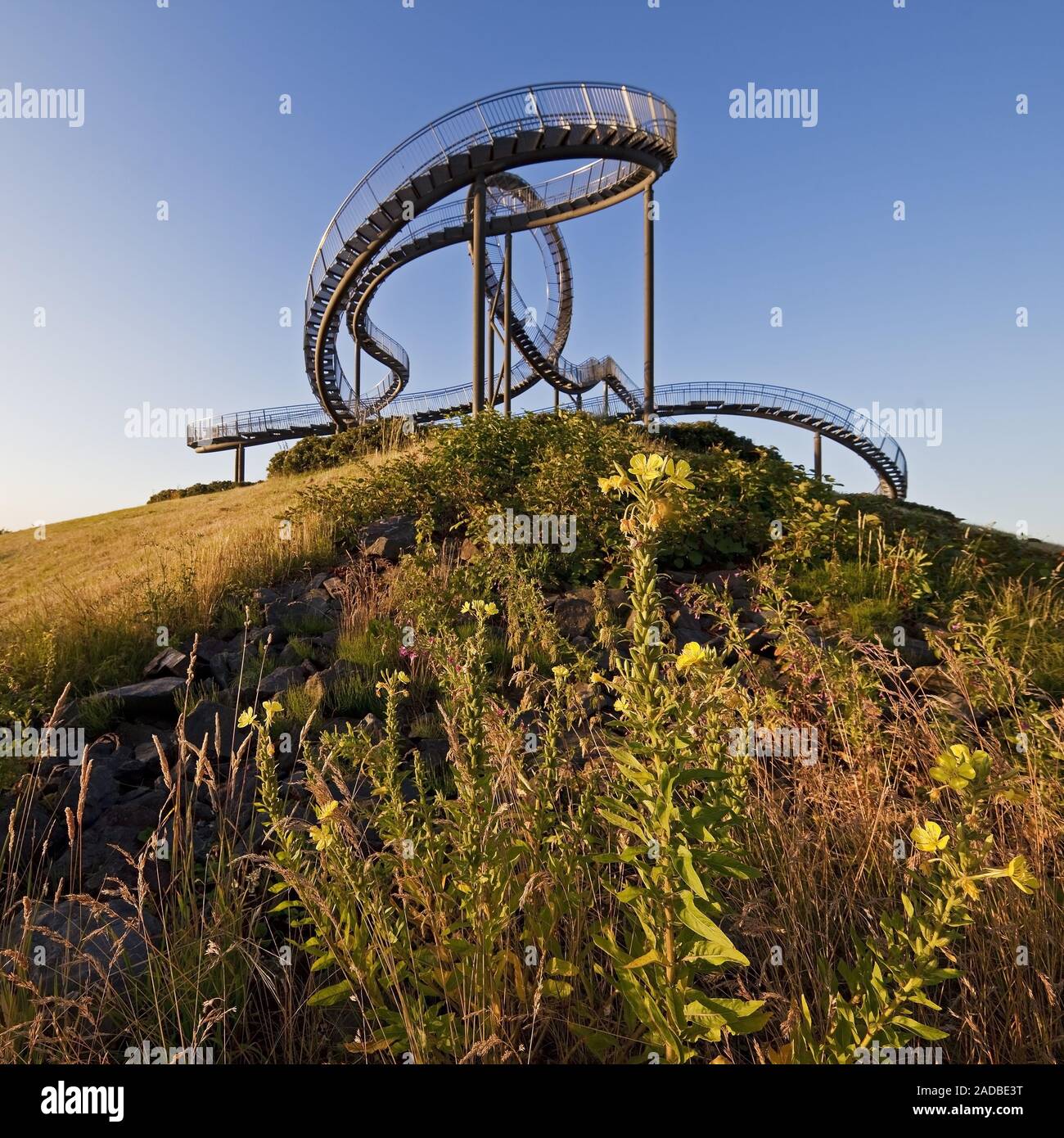 Tiger e la Tartaruga - Magic Mountain, arte scultura e landmark, Angerpark, Duisburg, Germania, Europa Foto Stock