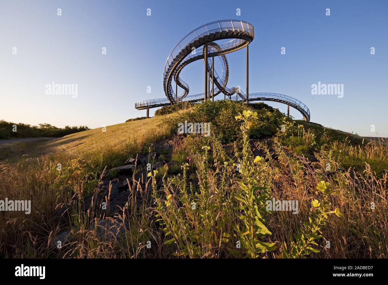 Tiger e la Tartaruga - Magic Mountain, arte scultura e landmark, Angerpark, Duisburg, Germania, Europa Foto Stock