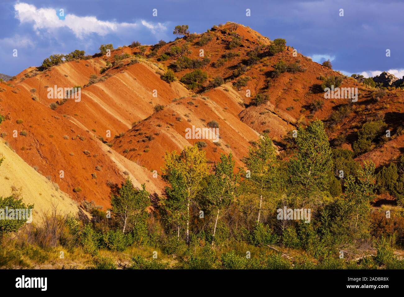 Paesaggi dello Utah Foto Stock