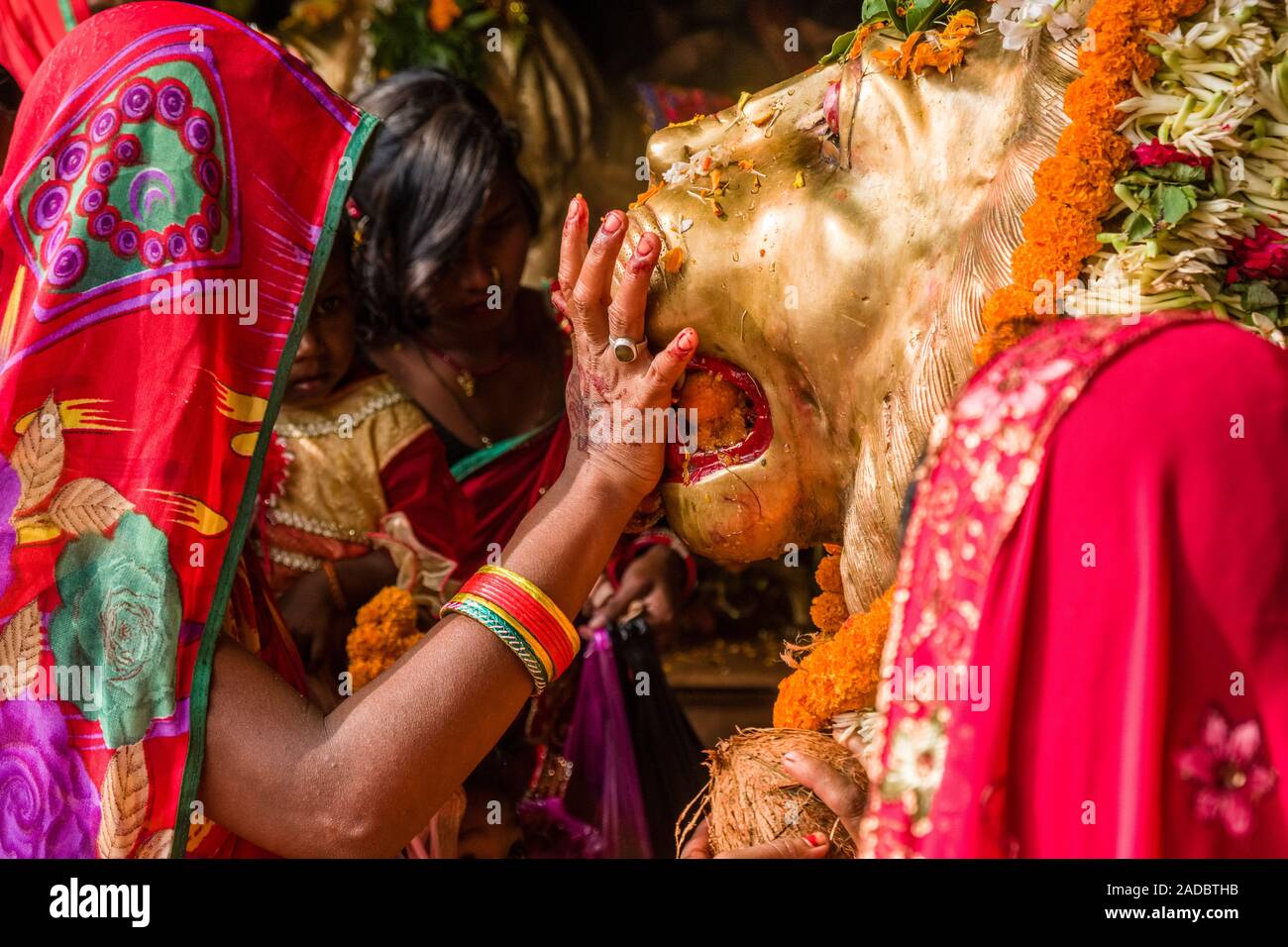 Le donne, pregando in una golden lion statua, prendendo parte alla cerimonia Khoich all'interno della Ram Mandir Al Maha Astmi, il giorno principale del festival Darsain Foto Stock