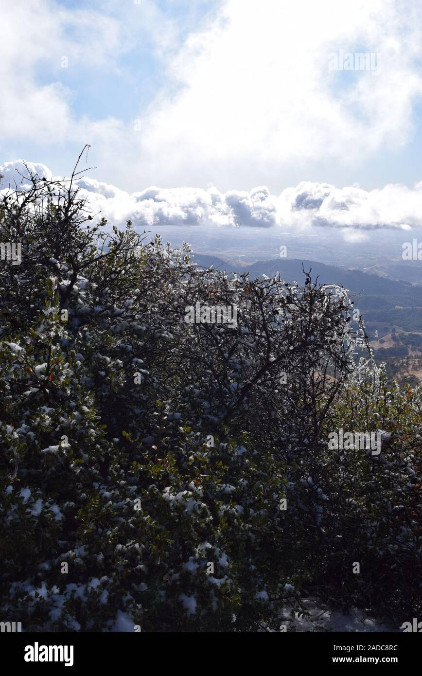 Paesaggio dal Monte Diablo membro Park, California Foto Stock