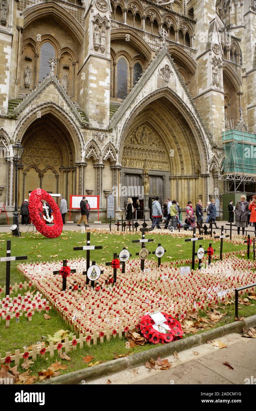 Papaveri presso il Royal British Legion Field di ricordo, l'Abbazia di Westminster, Londra, Regno Unito. Foto Stock