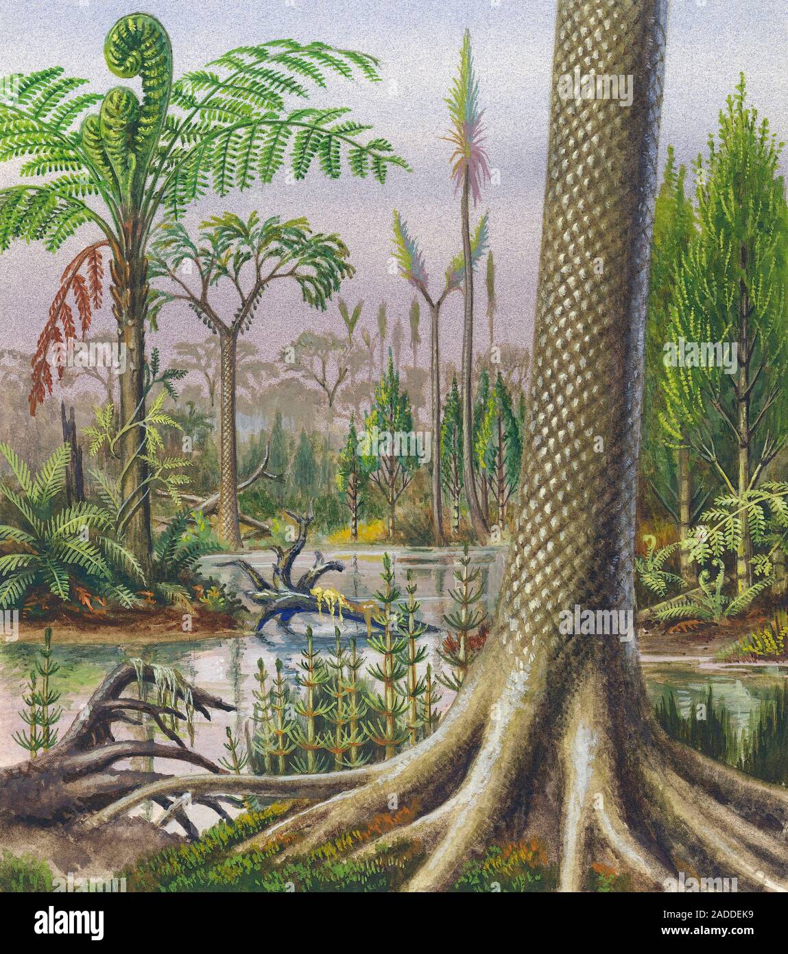 paesaggio-con-piante-del-periodo-carbonifero-illustrazione-sono-qui