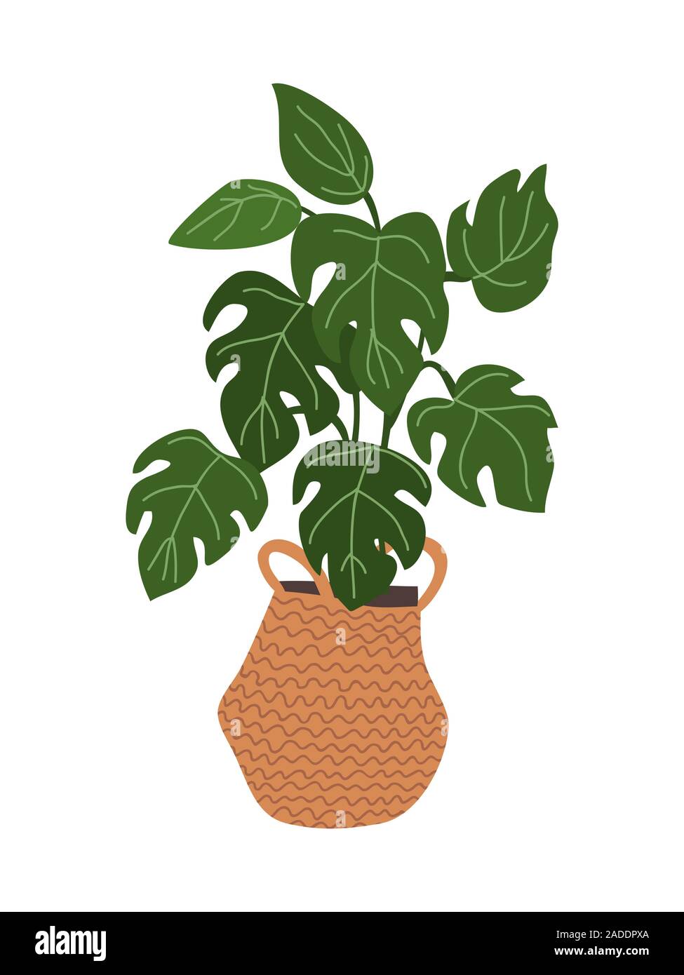 Isolato monstera indoor fiore in un cesto in stile scandinavo su uno sfondo bianco. Vector disegnati a mano figura piana. Illustrazione Vettoriale