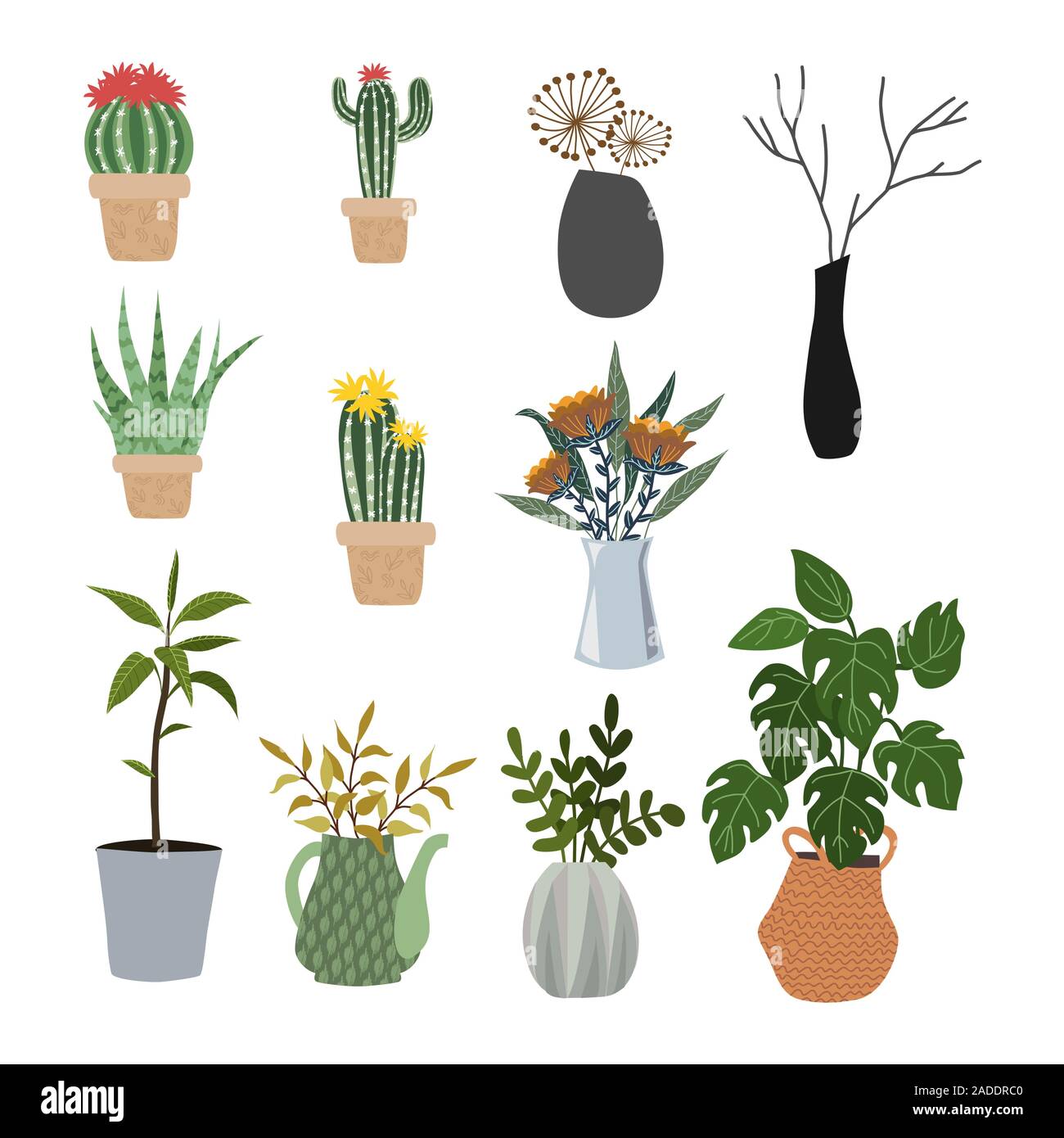 Set di fiori isolati in vasi e cestelli - piante succulente, cactus, monstera. Piatto di vettore Illustrazione Vettoriale