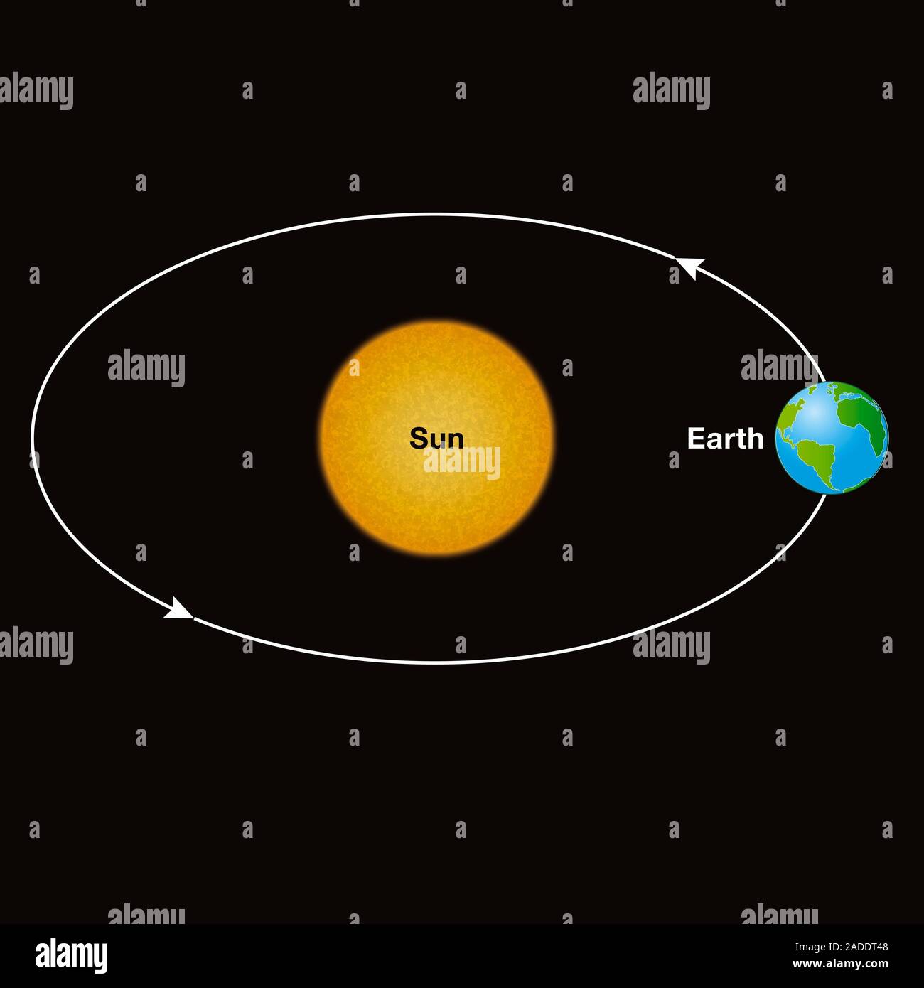 Orbita della Terra intorno al Sole, illustrazione. La Terra gira in orbita  intorno al sole a