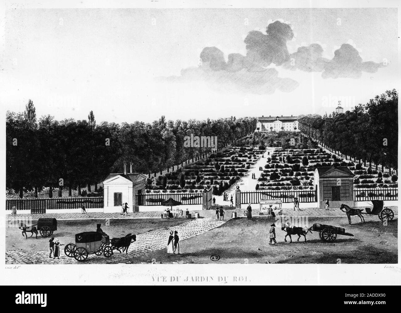 Vue du Jardin du Roi : Le jardin des plantes a Parigi - il rotocalco par Courvoisier (, 1827 Foto Stock