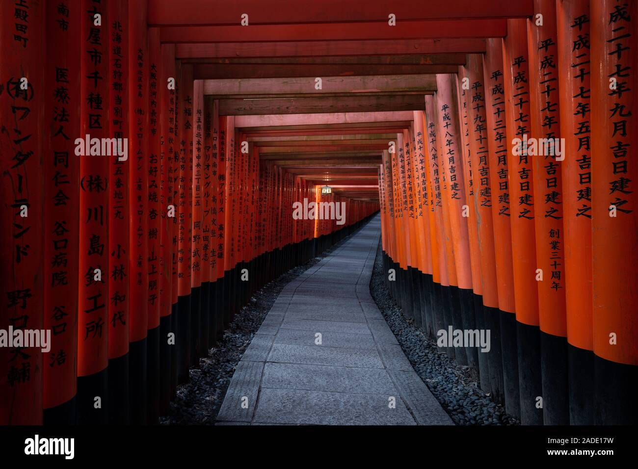 Kyoto, Giappone - 7 Novembre 2018: Rosso Torii gate a Fushimi Inari Santuario a Kyoto, Giappone Foto Stock