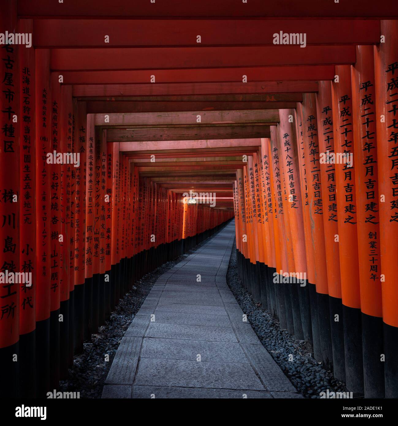 Kyoto, Giappone - 7 Novembre 2018: Rosso Torii gate a Fushimi Inari Santuario a Kyoto, Giappone Foto Stock