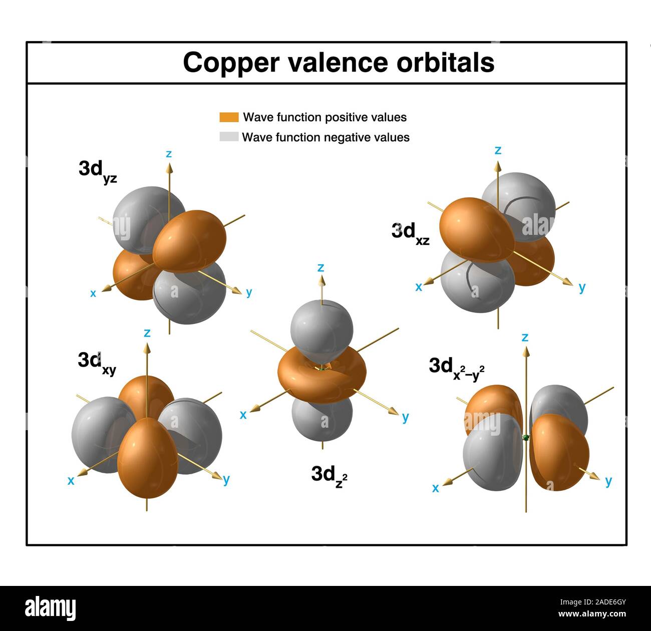 Rame (Cu). Schema del orbitali di valenza di un atomo di rame-64 (numero  atomico: 29), un isotopo di questo elemento. Il rame è un metallo di  transizione in Foto stock - Alamy