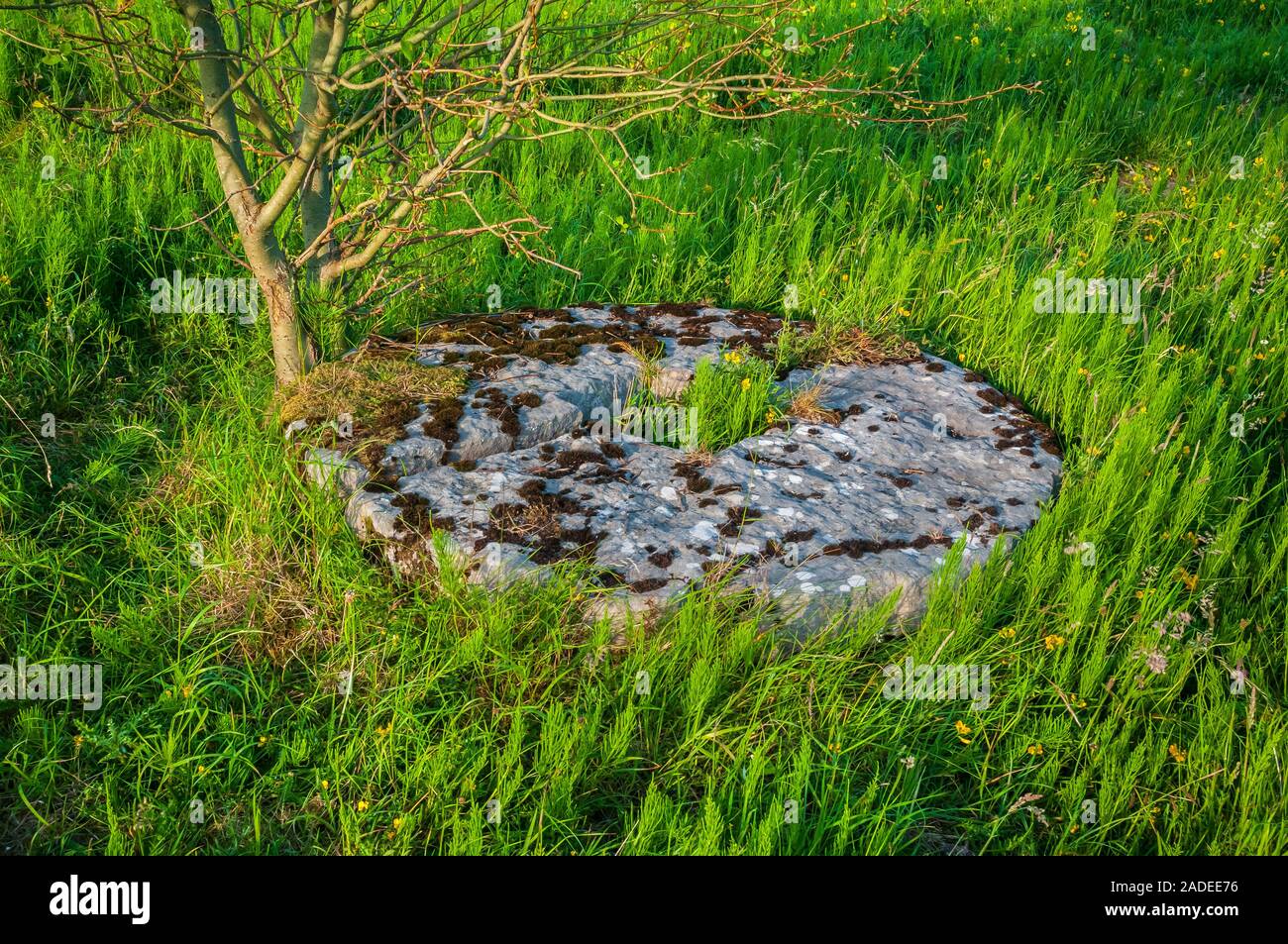 La frantumazione di pietra a Nether Dirtlow miniera sul rastrello Dirtlow vicino a Castleton Foto Stock