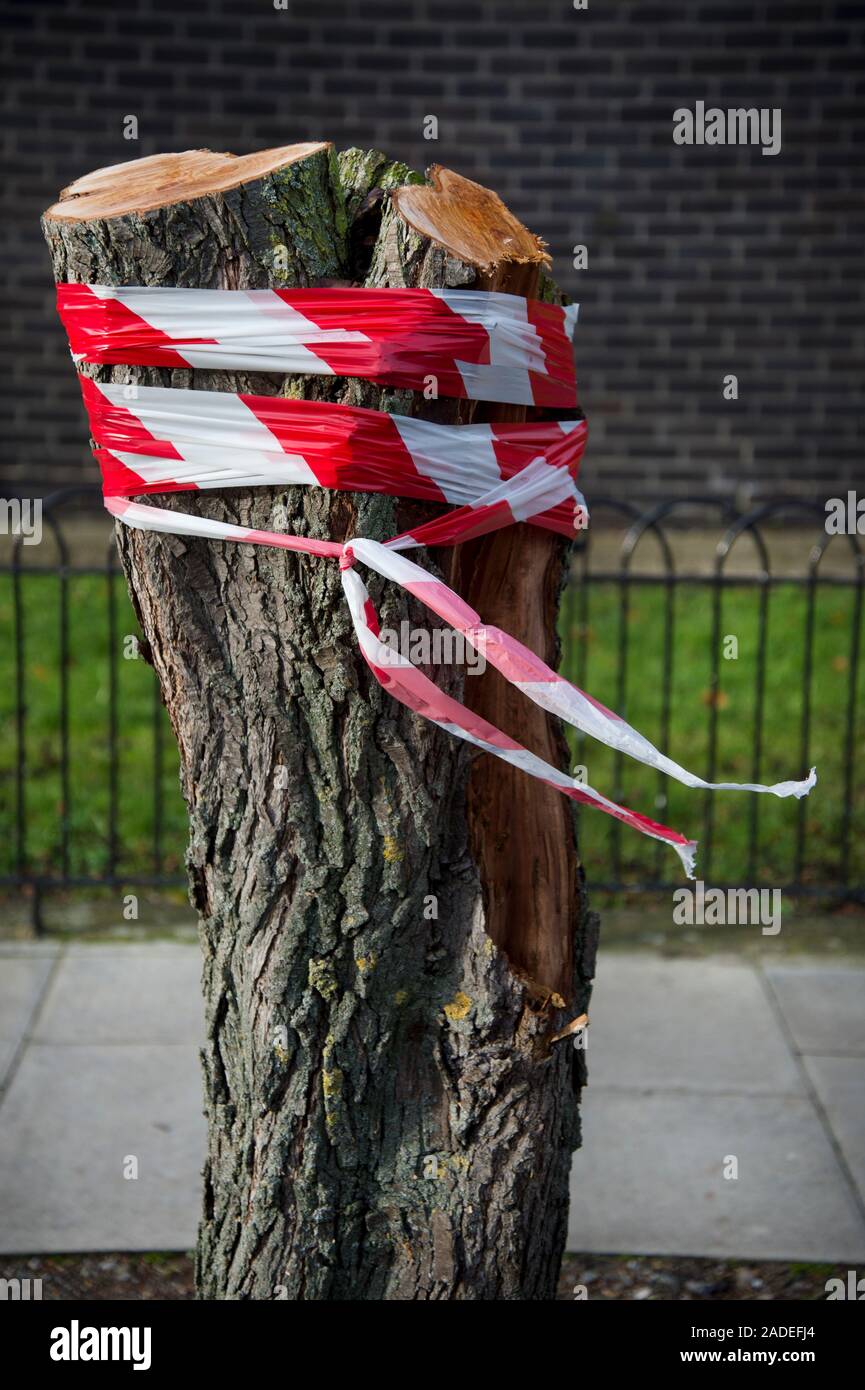 Hackney. Ceppo di albero con nastro di avvertimento pericolo Foto Stock