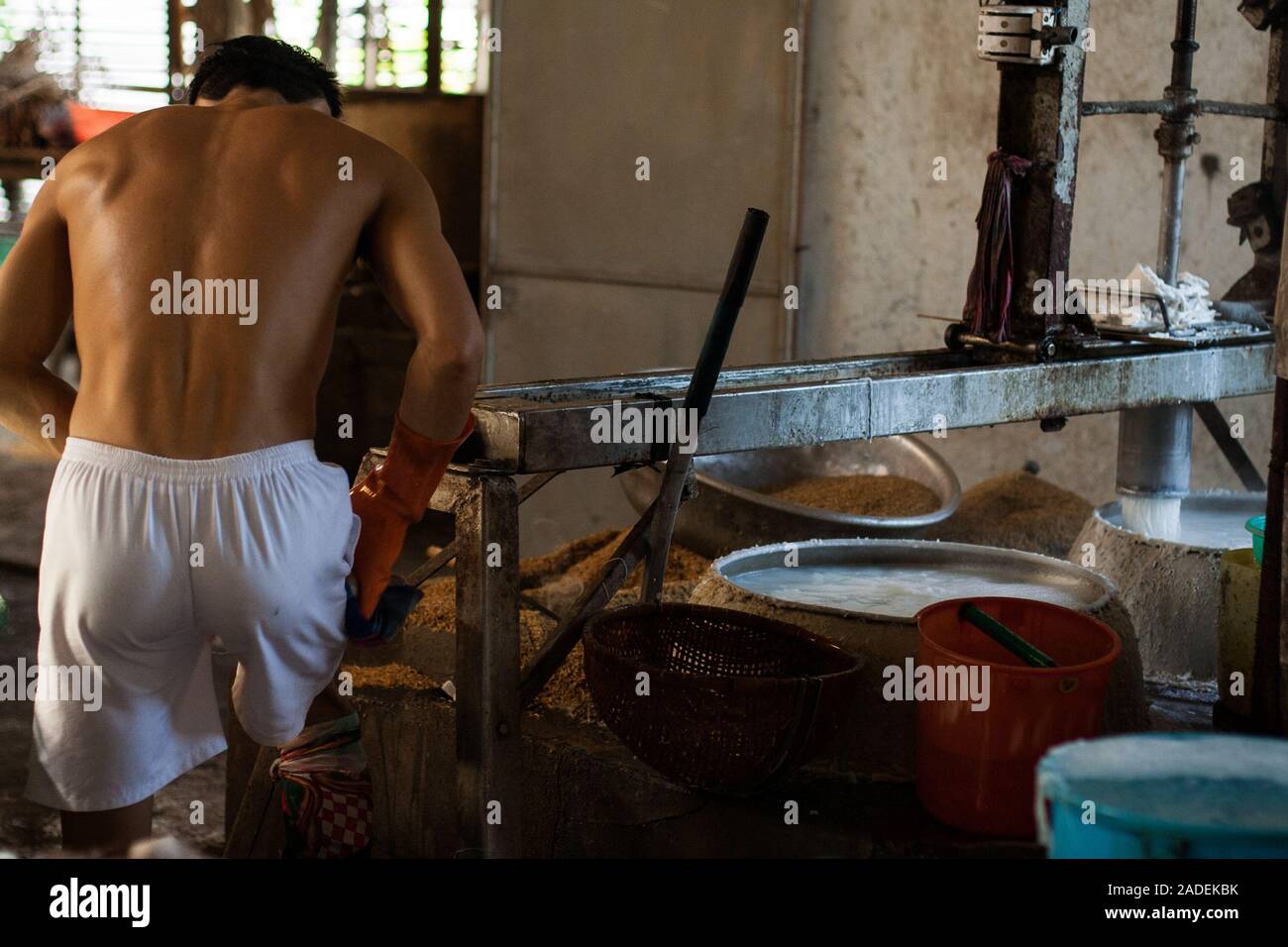 Lavoratore in azione durante la produzione artigianale di vietnamiti riso tagliatelle in corrispondenza di una piccola famiglia di proprietà di fabbrica in ben tre, Vietnam del Sud. Foto Stock