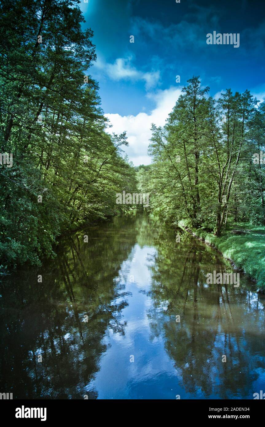 Natura idilliaco paesaggio con alberi e fiume in estate, oasi di pace e tranquillità Foto Stock