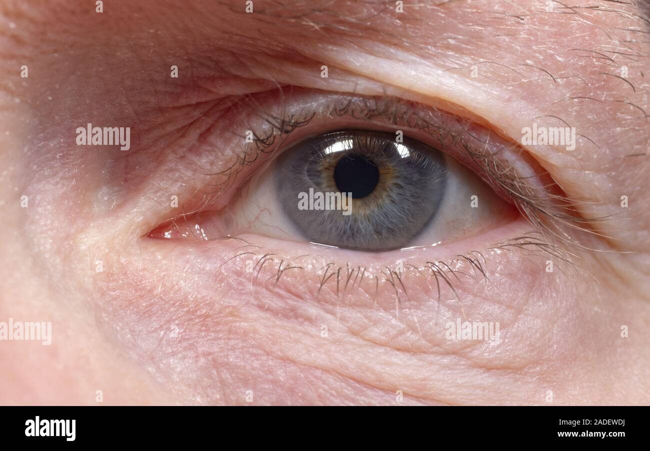 Close-up di un occhio Foto Stock