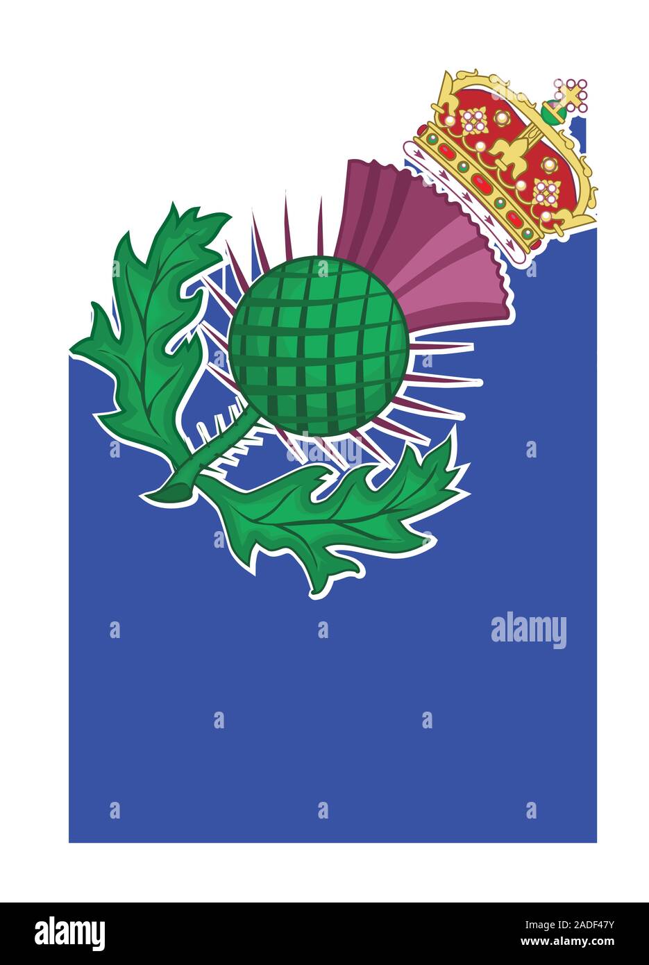 Il Thistle simbolo della Scozia su uno sfondo bianco Illustrazione Vettoriale