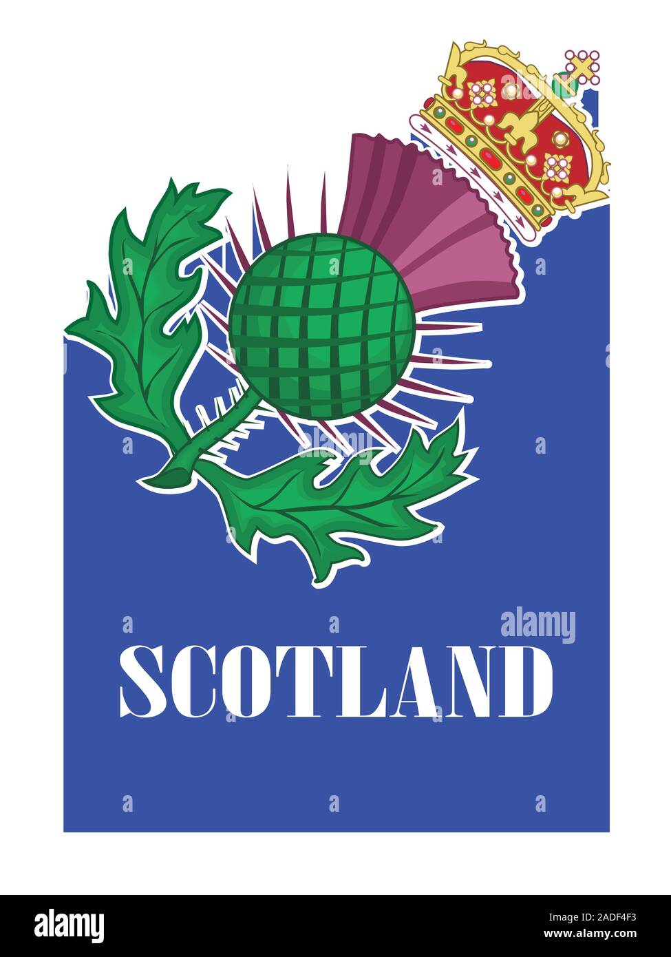 Il Thistle simbolo della Scozia su uno sfondo bianco Illustrazione Vettoriale