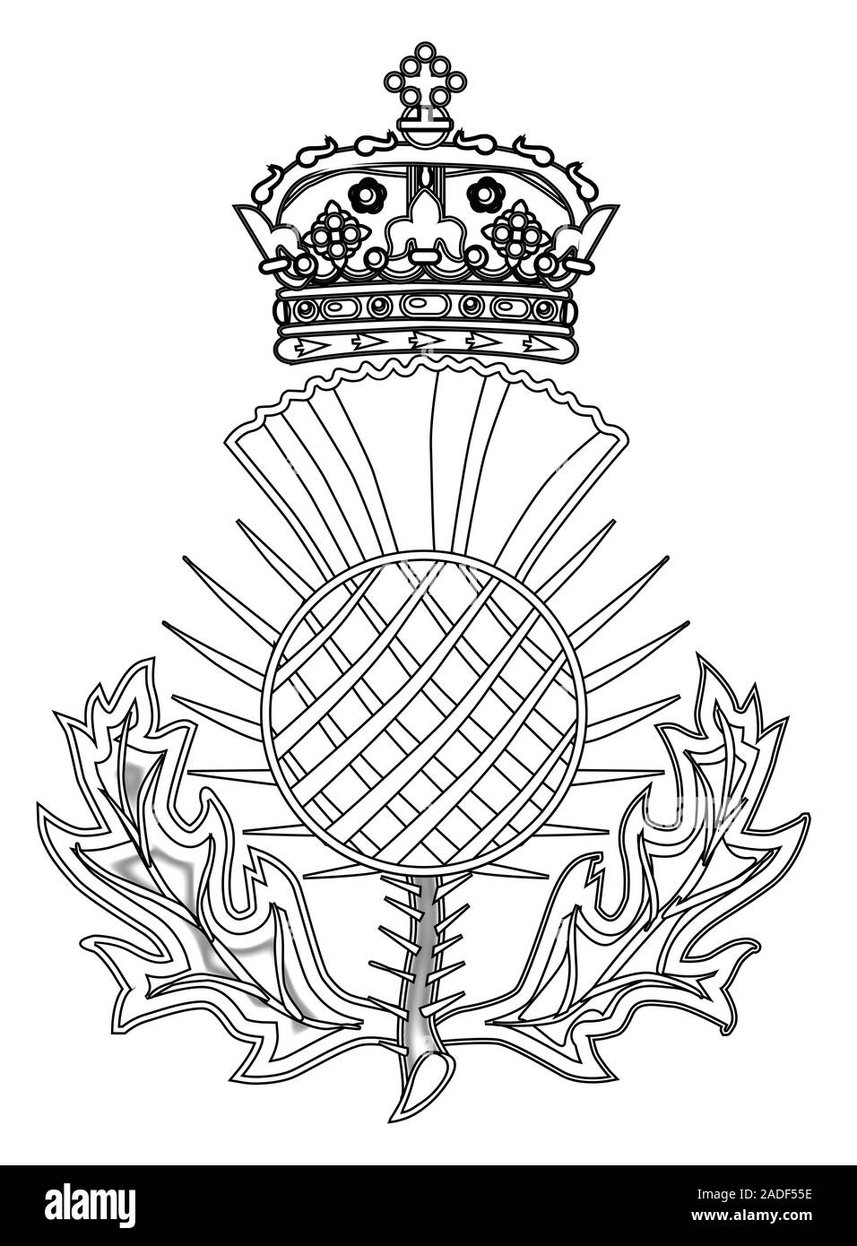 Il Thistle simbolo della Scozia su uno sfondo bianco Illustrazione Vettoriale