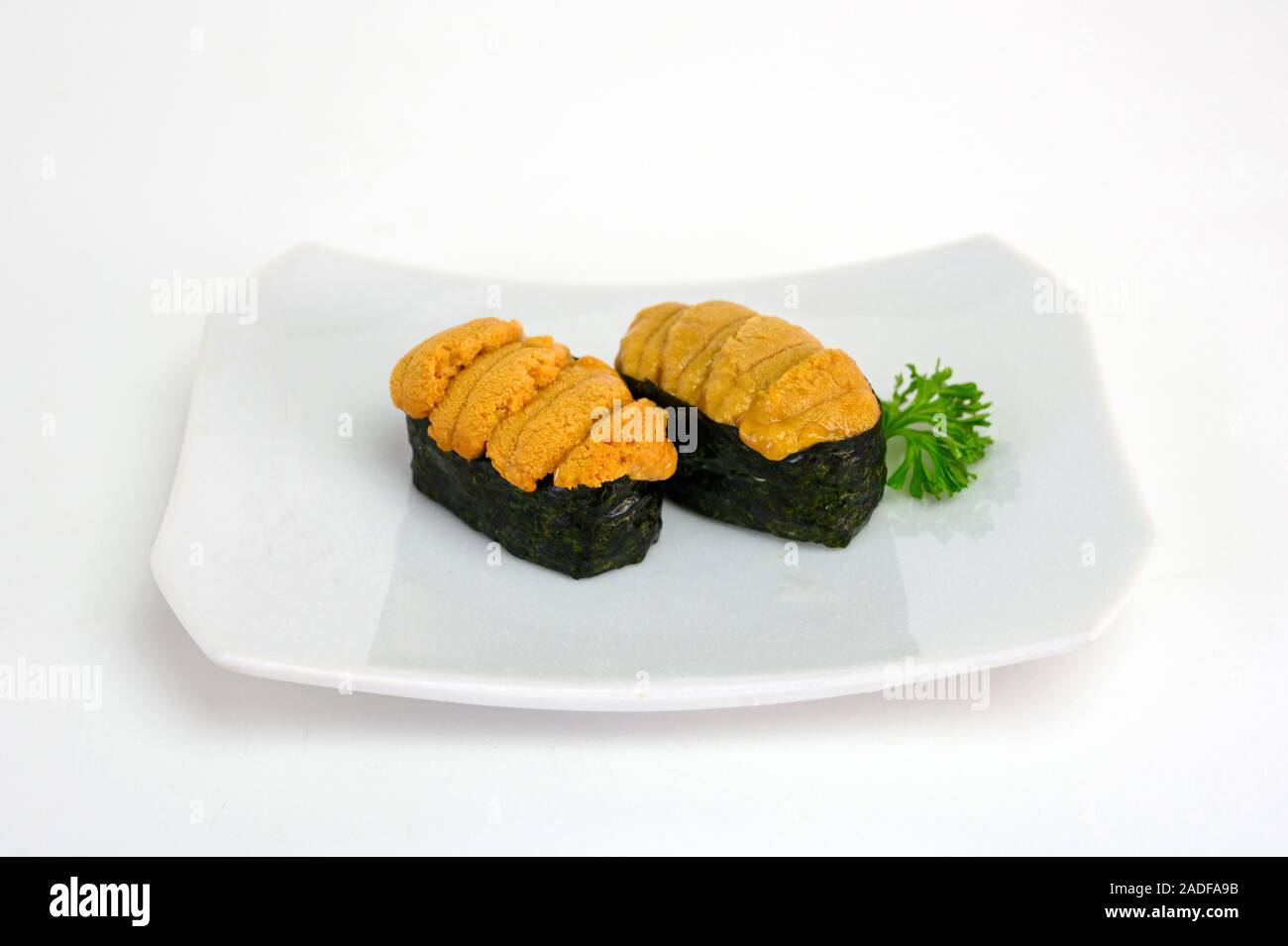 Uni ricci di mare sushi cucina giapponese in una piastra di ceramica su sfondo bianco Foto Stock