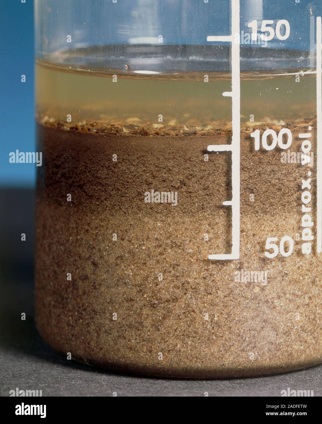 Analisi del suolo. Becher contenente un campione di suolo in acqua per mostrare le relative percentuali in volume di sabbia e limo e argilla. Questo metodo è utilizzato per d Foto Stock