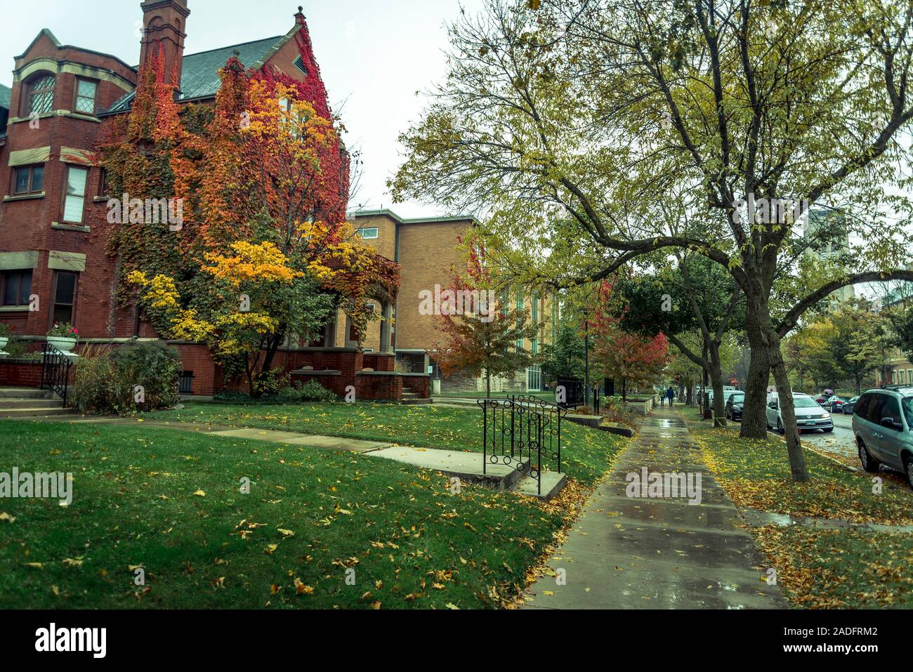 Street in ben guarita Hyde Park quartiere, Chicago, Illinois, Stati Uniti d'America Foto Stock