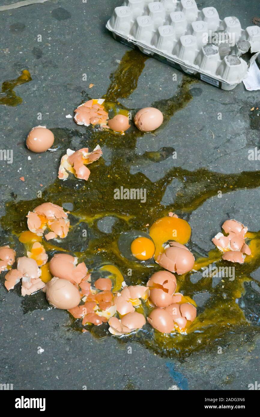 Una dozzina di uova rotte su un marciapiede, STATI UNITI D'AMERICA Foto Stock