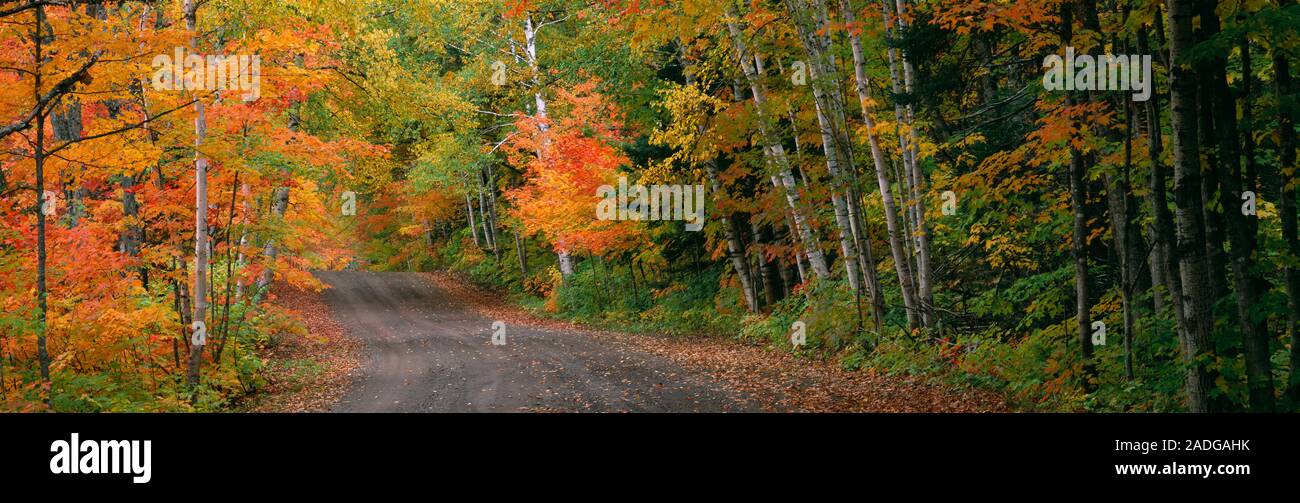 Road passando attraverso una foresta, Keweenaw County, Penisola Keweenaw, Michigan, Stati Uniti d'America Foto Stock