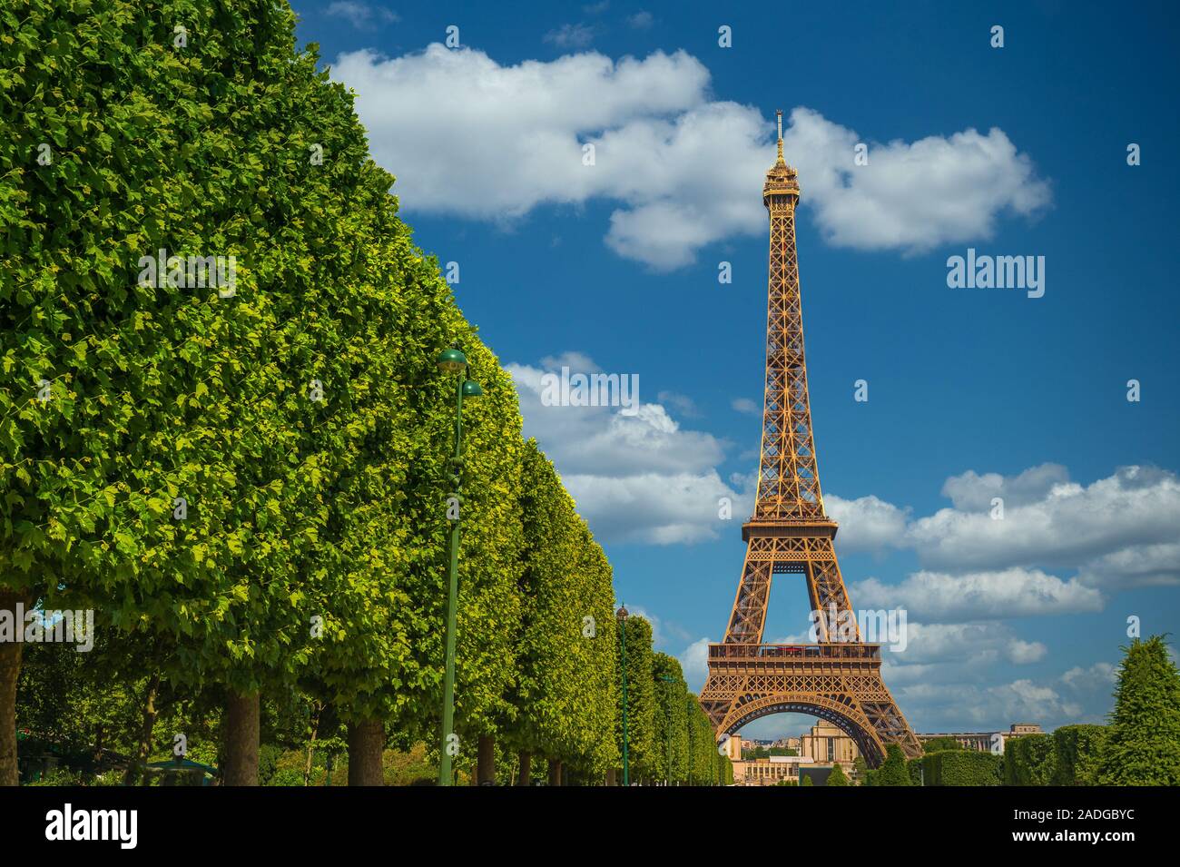 La Torre Eiffel, il simbolo di Parigi. Foto Stock