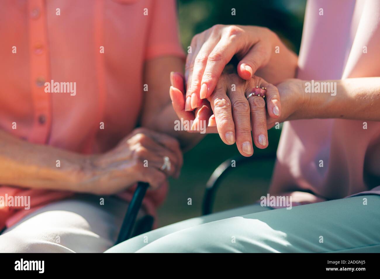 Mano di donna e di altre mani tenendolo stock photo Foto Stock