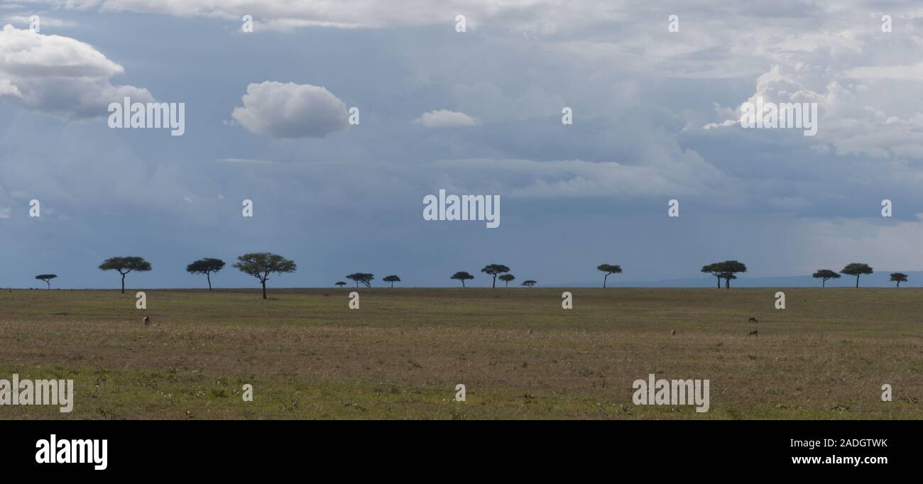 Le nuvole di pioggia grigie cominciano a formarsi sopra la savana secca del Serengeti. Parco Nazionale di Serengeti, Tanzania Foto Stock