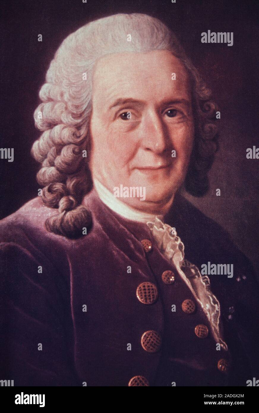 Carlo Linneo. Il botanico svedese Carlo Linneo, 1707-1778. Linneo era un grande classificatore di organismi viventi. In 1735 pubblicò Systema Natur Foto Stock