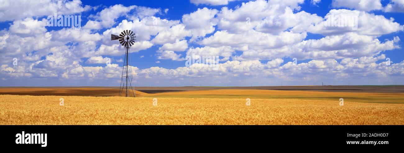 Vista del mulino a vento nel campo di grano, Otello, nello Stato di Washington, USA Foto Stock