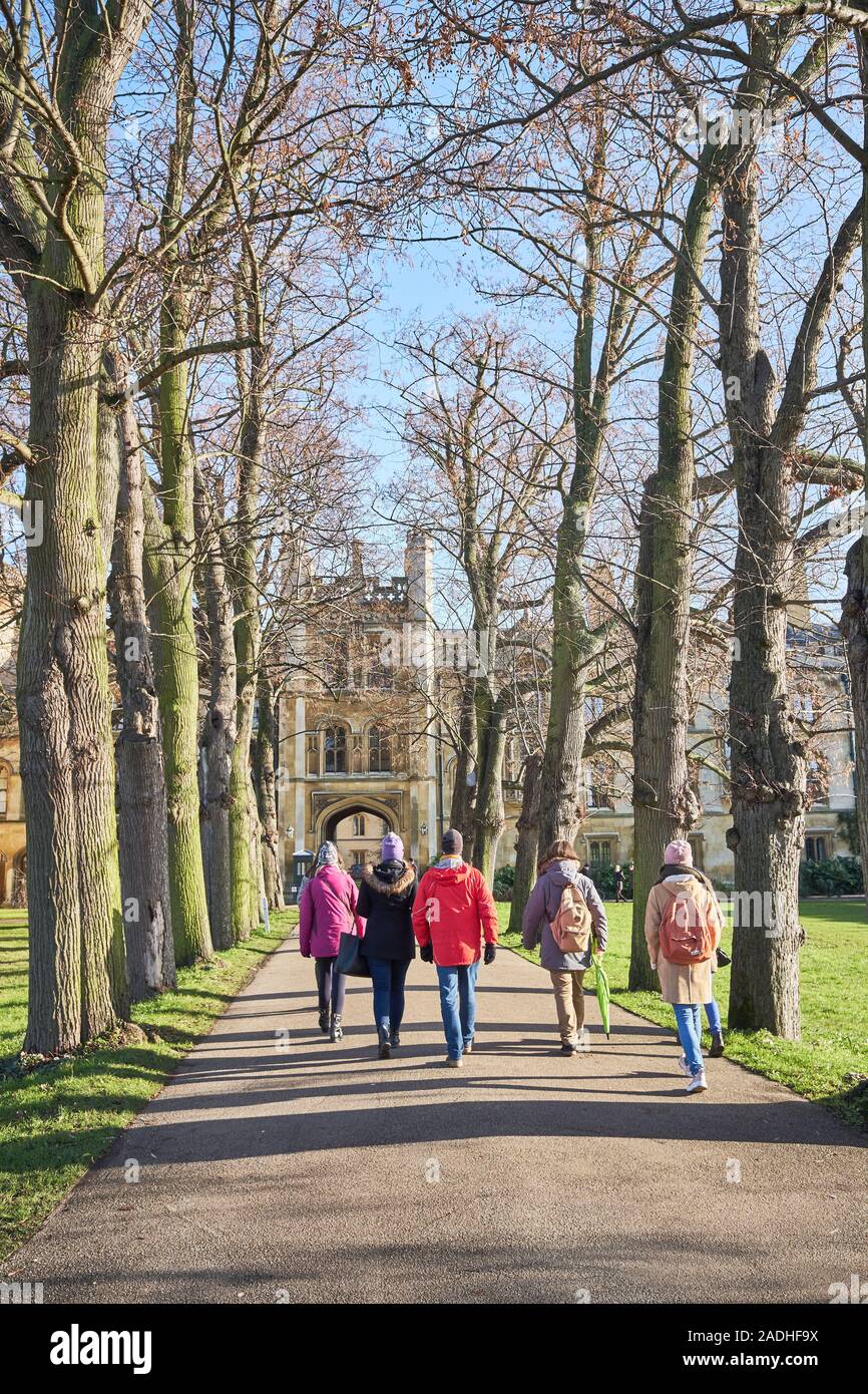 Un gruppo di studenti a piedi lungo il viale alberato percorso al nuovo Tribunale al Trinity College di Cambridge University, Inghilterra, su una soleggiata giornata invernale. Foto Stock