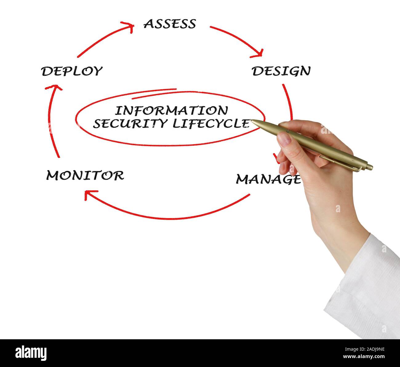 Schema di informazioni sul ciclo di vita della sicurezza Foto Stock