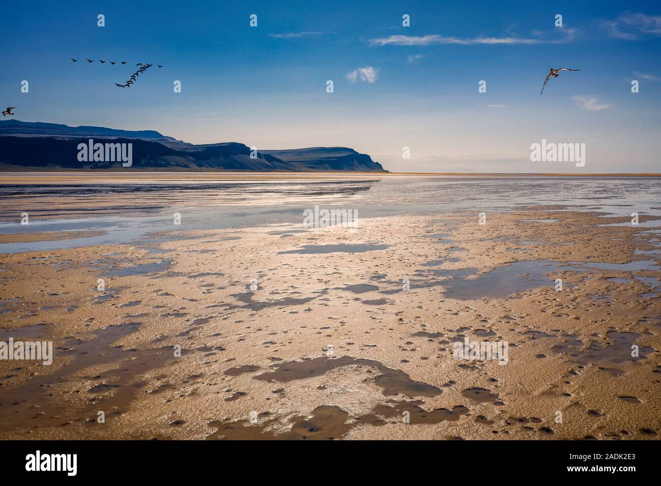 Scenario di spiaggia, Raudisandur dilavamento pianura, Westfjords, Islanda Foto Stock