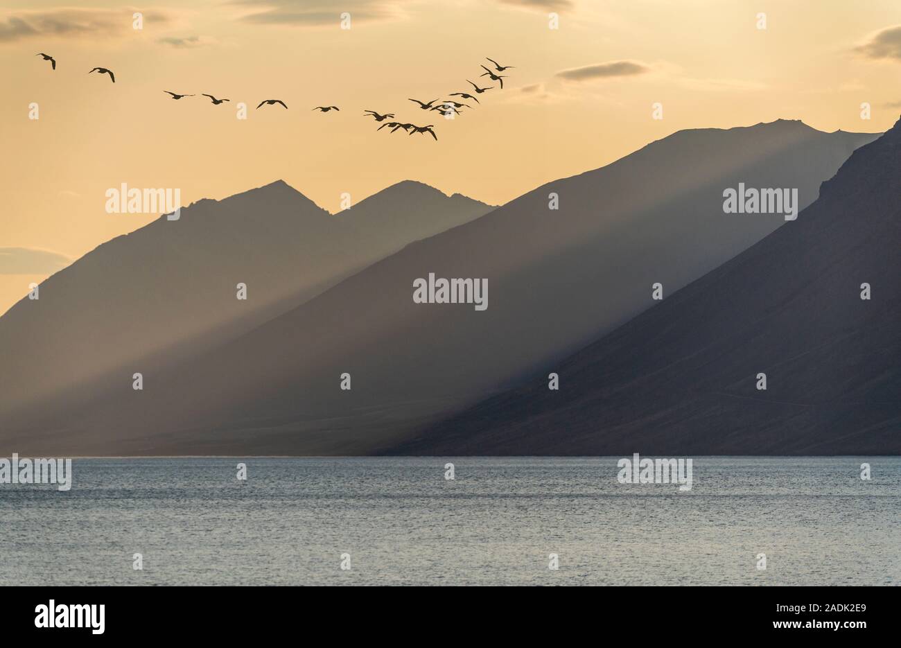 Area Dynjandi, cascate Dynjandi, Westfjords, Islanda Foto Stock