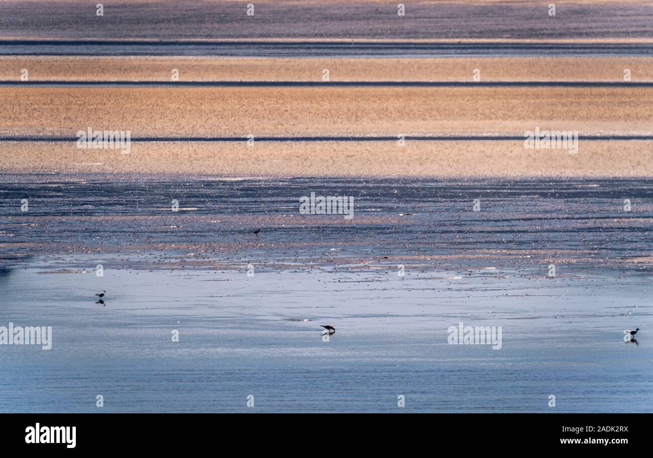 Spiaggia, Raudisandur dilavamento pianure, Westfjords, Islanda Foto Stock