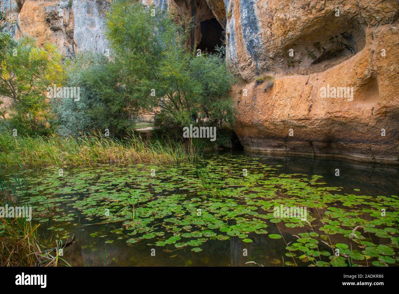 Fiume Lobos. Cañon del Rio Lobos Riserva Naturale, Soria provincia, Castilla Leon, Spagna. Foto Stock