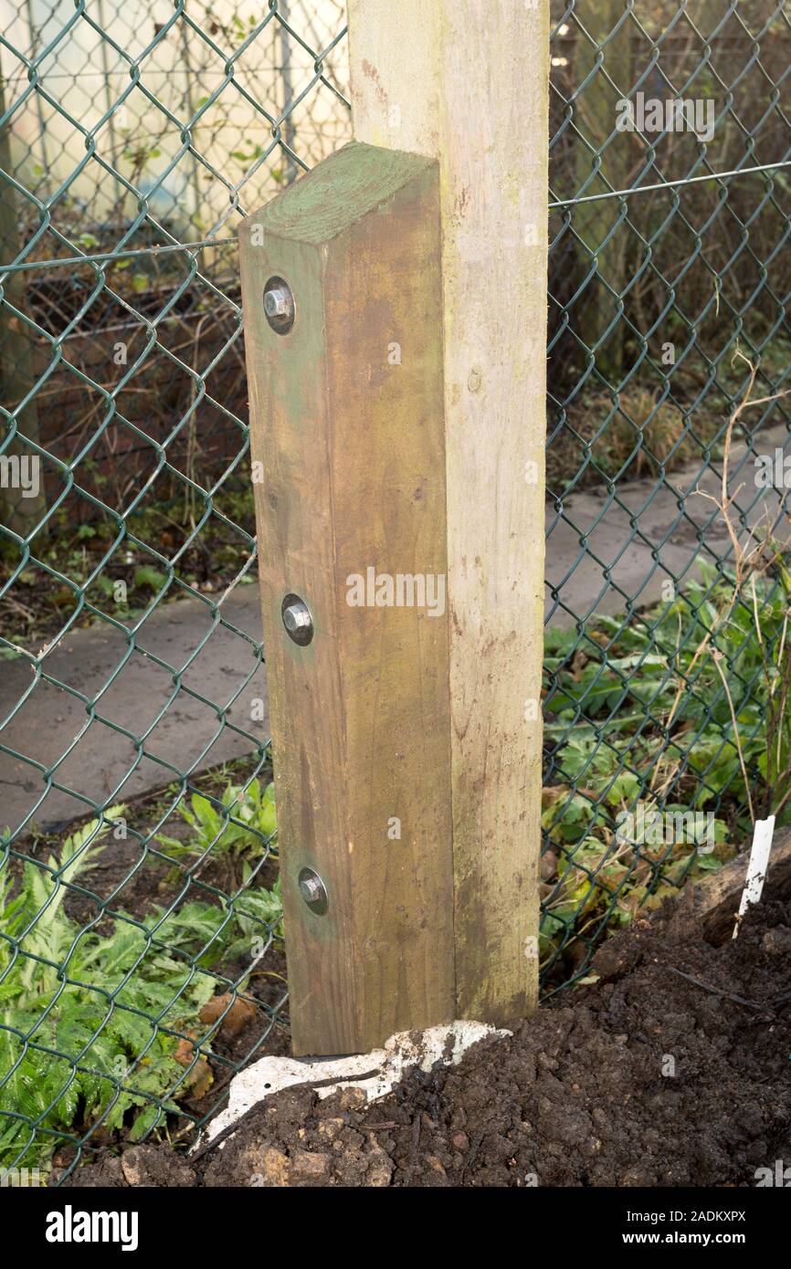 Un marcio e rotture di palo da recinzione riparato mediante aggiunta di un sperone di legno mediante tirafondi, England, Regno Unito Foto Stock