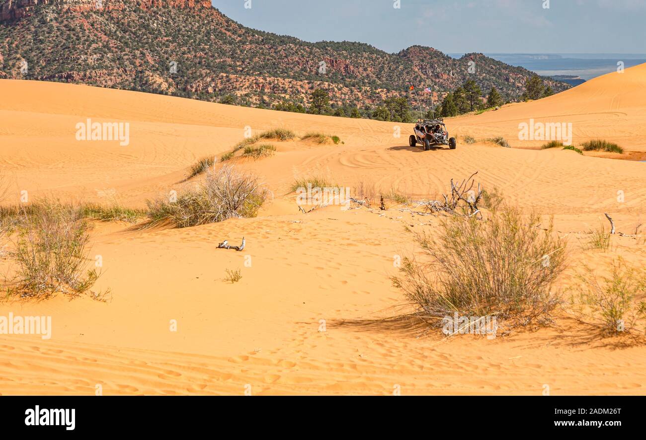 ATV riding in Coral Pink Sand Dunes State Park vicino a Kanab, Utah Foto Stock