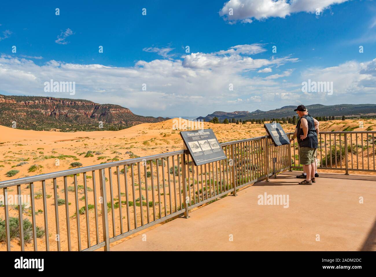 L'uomo sul ponte di osservazione a Coral Pink Sand Dunes State Park vicino a Kanab, Utah Foto Stock