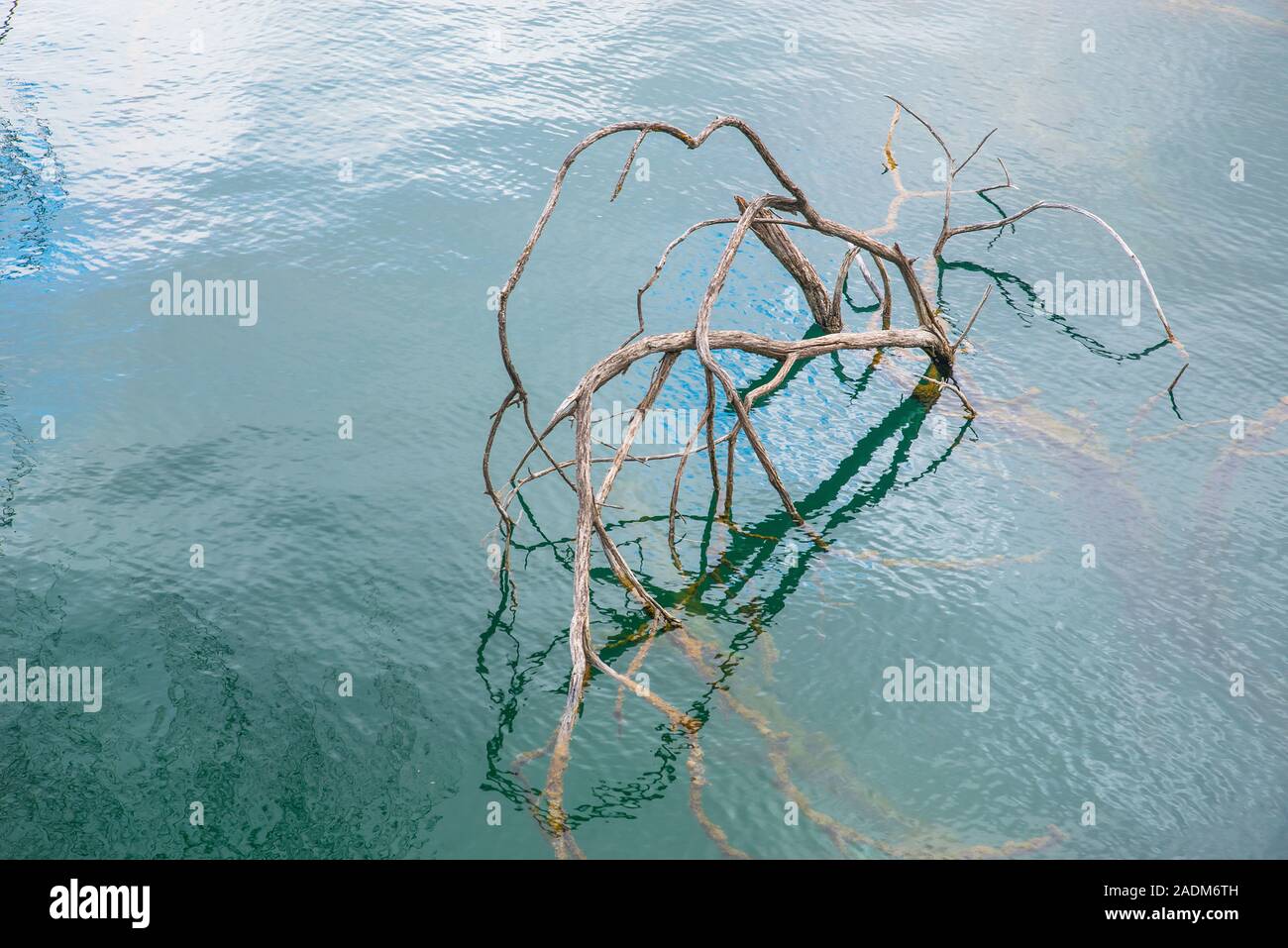 Struttura essiccato nel lago. Foto Stock