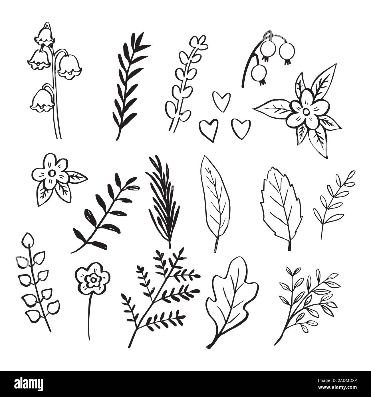 Set di foglie e fiori isolati su sfondo bianco disegnato a mano elemento floreale. Felice giorno del Ringraziamento concetto - illustrazione vettoriale. Illustrazione Vettoriale