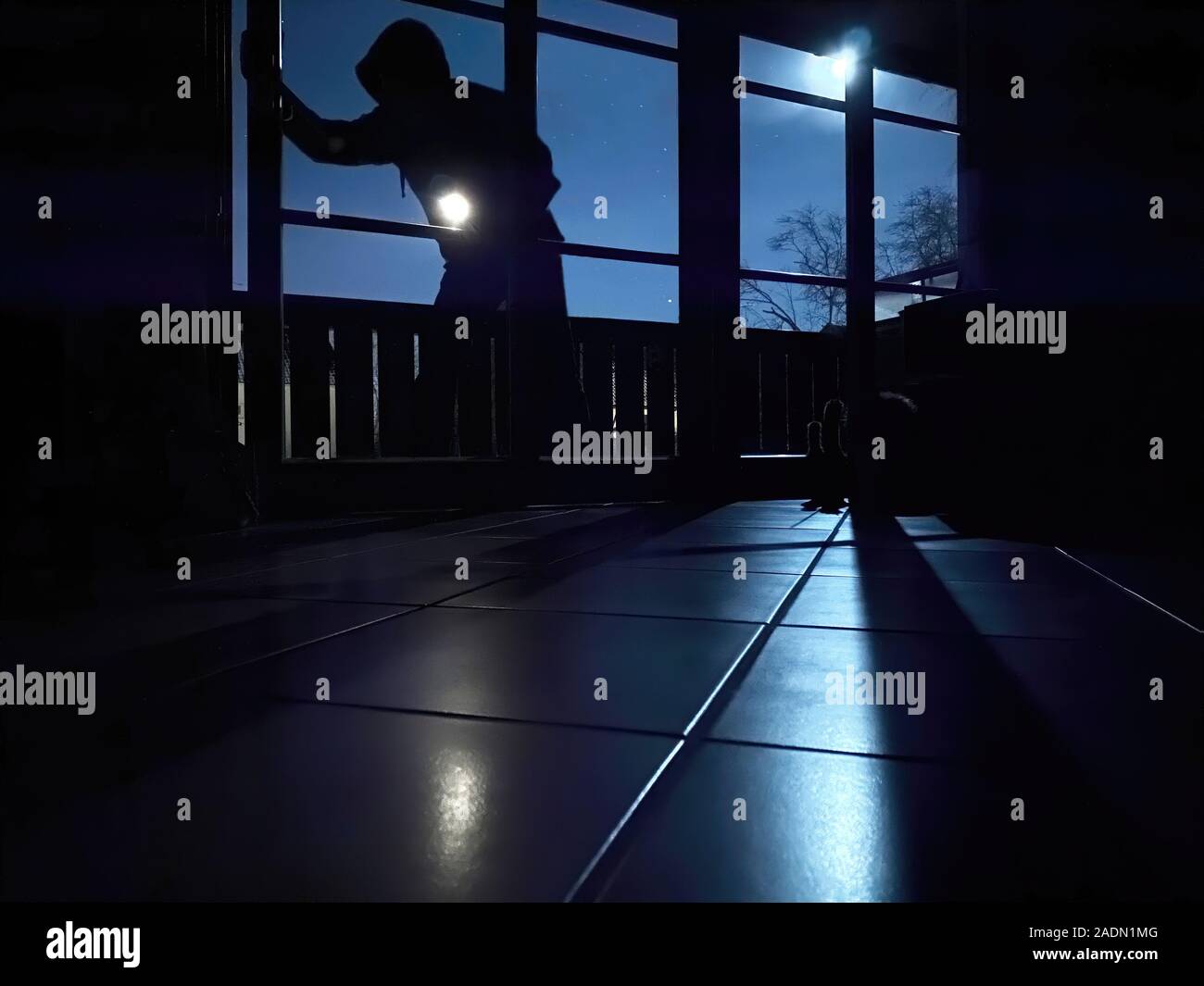 Ladro con torcia di notte immettendo house Foto Stock