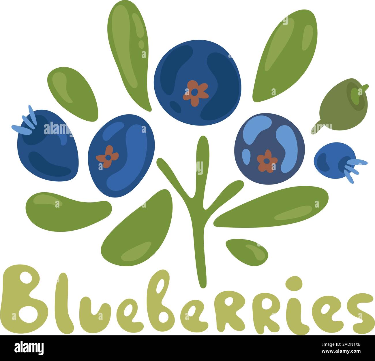 Ramo di mirtillo, foglie e bacche isolati su sfondo bianco. Illustrazione Vettoriale. Alimenti biologici su sfondo bianco. Impianto di carino. Doodle piatta Illustrazione Vettoriale