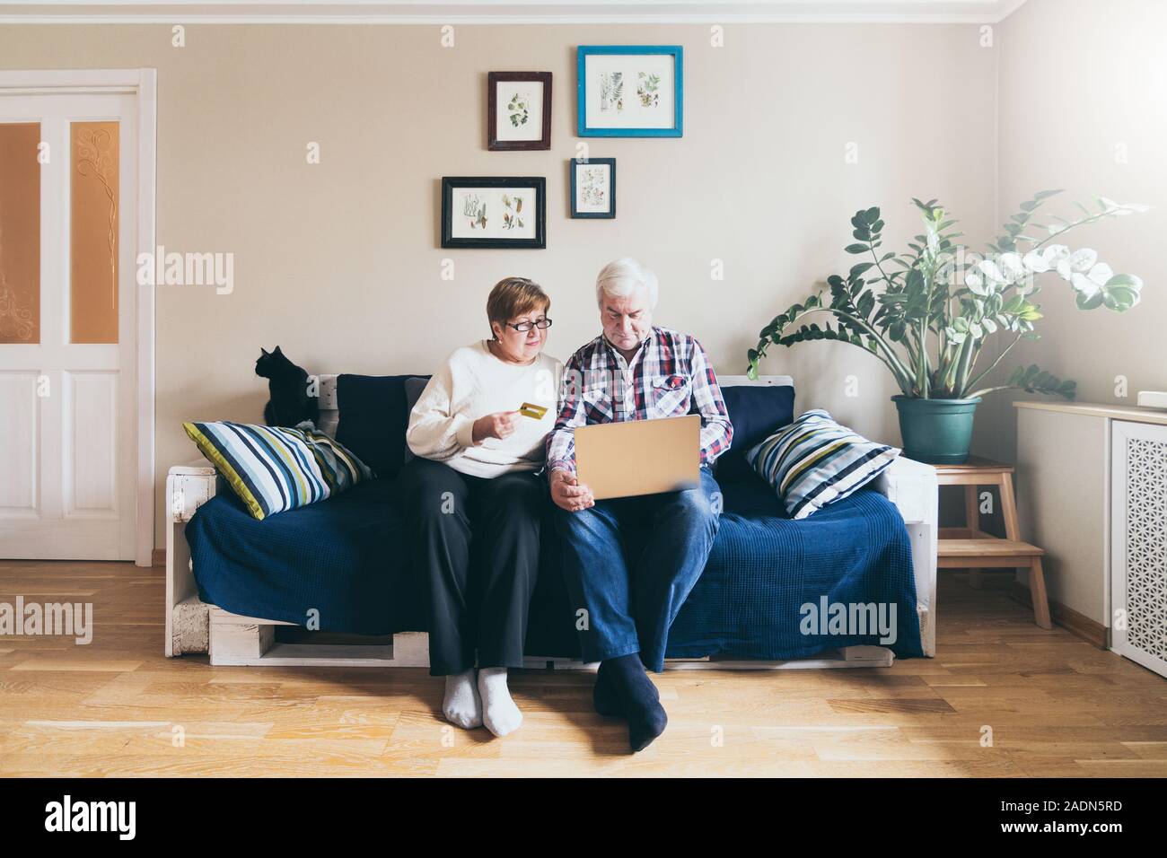 Anziana coppia caucasica facendo acquisti online sul lettino a casa, guardando lo schermo del notebook e sorridente Foto Stock