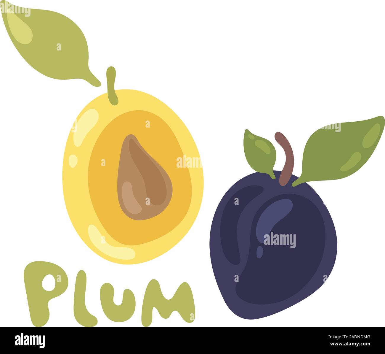 Prugna frutti e foglie icona vettore. Fresca prugna succosa isolato su uno sfondo bianco. Colorato a metà e tutta la prugna con una foglia. Perfetto per succhi di frutta o di inceppamento Illustrazione Vettoriale