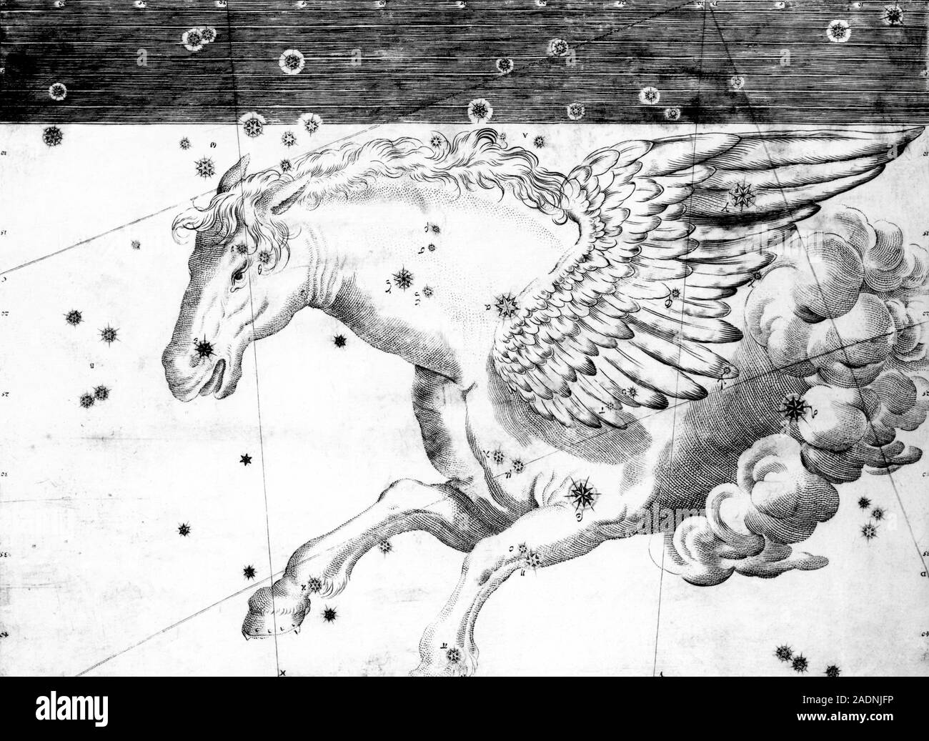 Orecchini Pendenti Piccolo Pegaso Cavallo Alato – Argento – 35mm – Ganci A Pastore