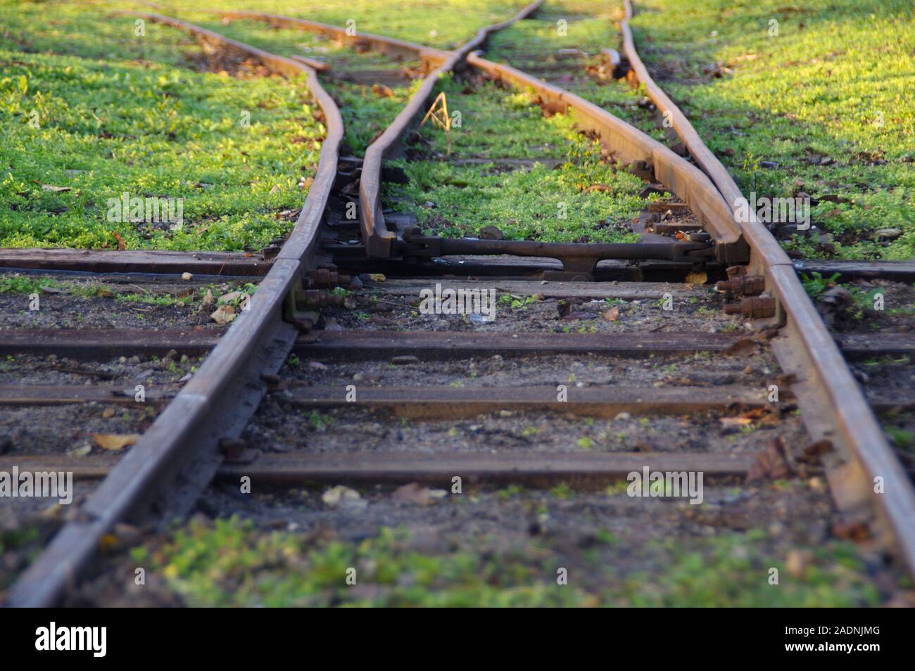 Vecchia ferrovia interruttore. Direzioni In treno di strada. Un dilemma metafora. Foto Stock