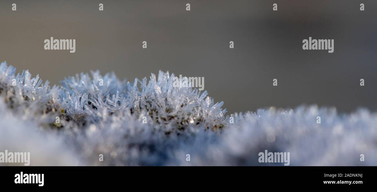 I cristalli di ghiaccio formato sulla pietra a secco la parete dopo una notte gelida. North Yorkshire, Regno Unito. Foto Stock